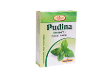 Pudina (Mint) Face Pack Powder 100g